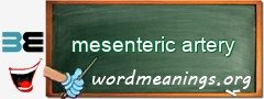 WordMeaning blackboard for mesenteric artery